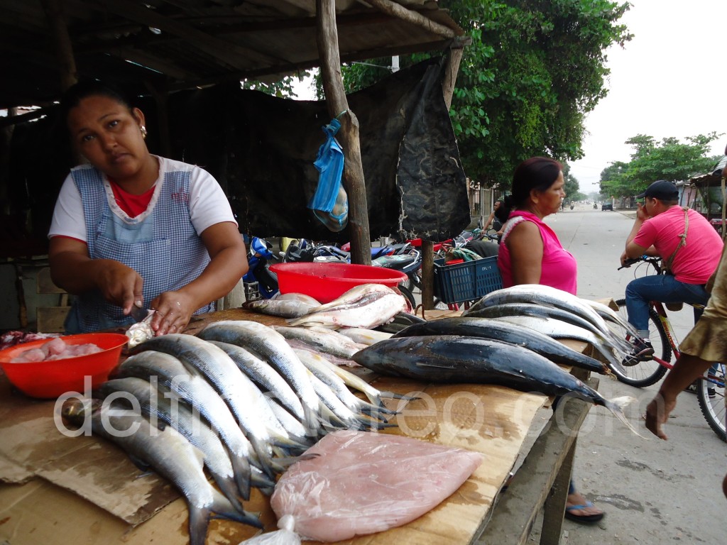 Cuidado al comprar pescados y mariscos 